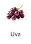Uva