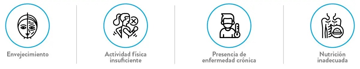 ensure-blog-col-perdida-masa-muscular