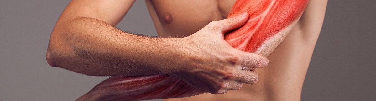 hombre y músculos del brazo