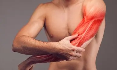 hombre y músculos del brazo