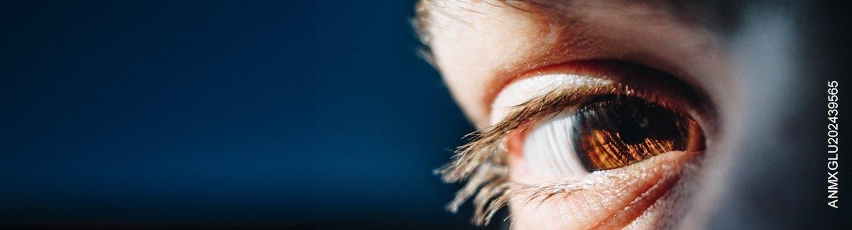 Ojo café bajo los rayos del sol