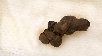 09-Seco caf‚ y duro D.jpg