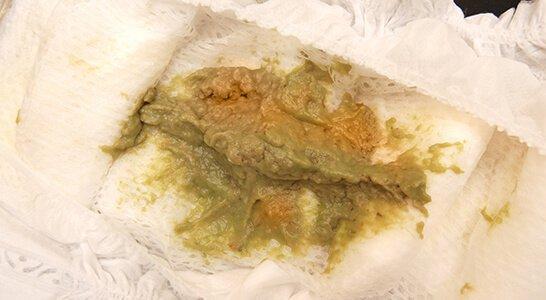 04-Caf‚ Verdoso D.jpg