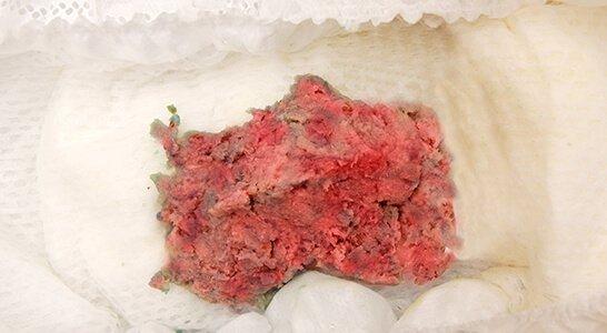 05-Rojo ros ceo D.jpg