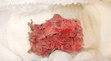 05-Rojo ros ceo D.jpg