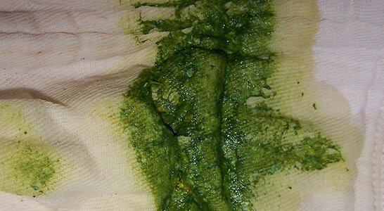 07-Verde brillante D.jpg