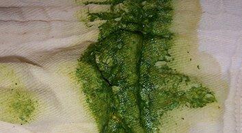 07-Verde brillante D.jpg