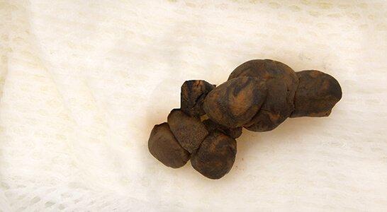 09-Seco caf‚ y duro D.jpg